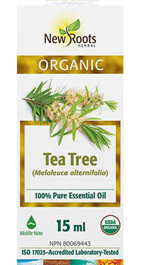 Tea_Tree