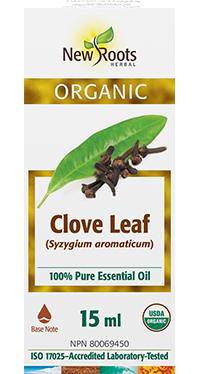 Clove_Leaf