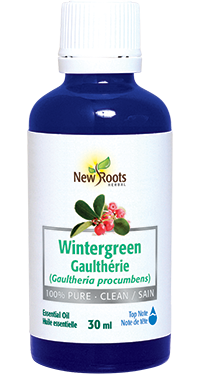 Wintergreen