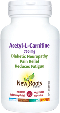 Acetyl-L-Carnitine