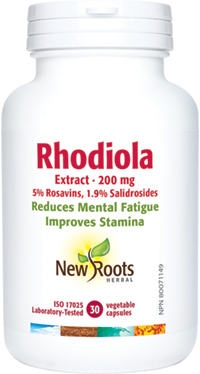 Rhodiola
