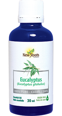 Eucalyptus Essential Oil