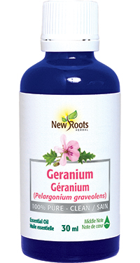 Geranium Essential Oil