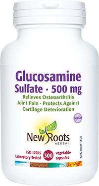 Glucosamine Sulfate 500 mg