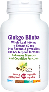 Ginkgo Biloba