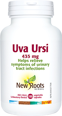 Uva Ursi