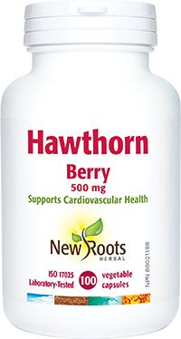 Hawthorn Berry