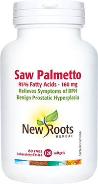 Saw Palmetto