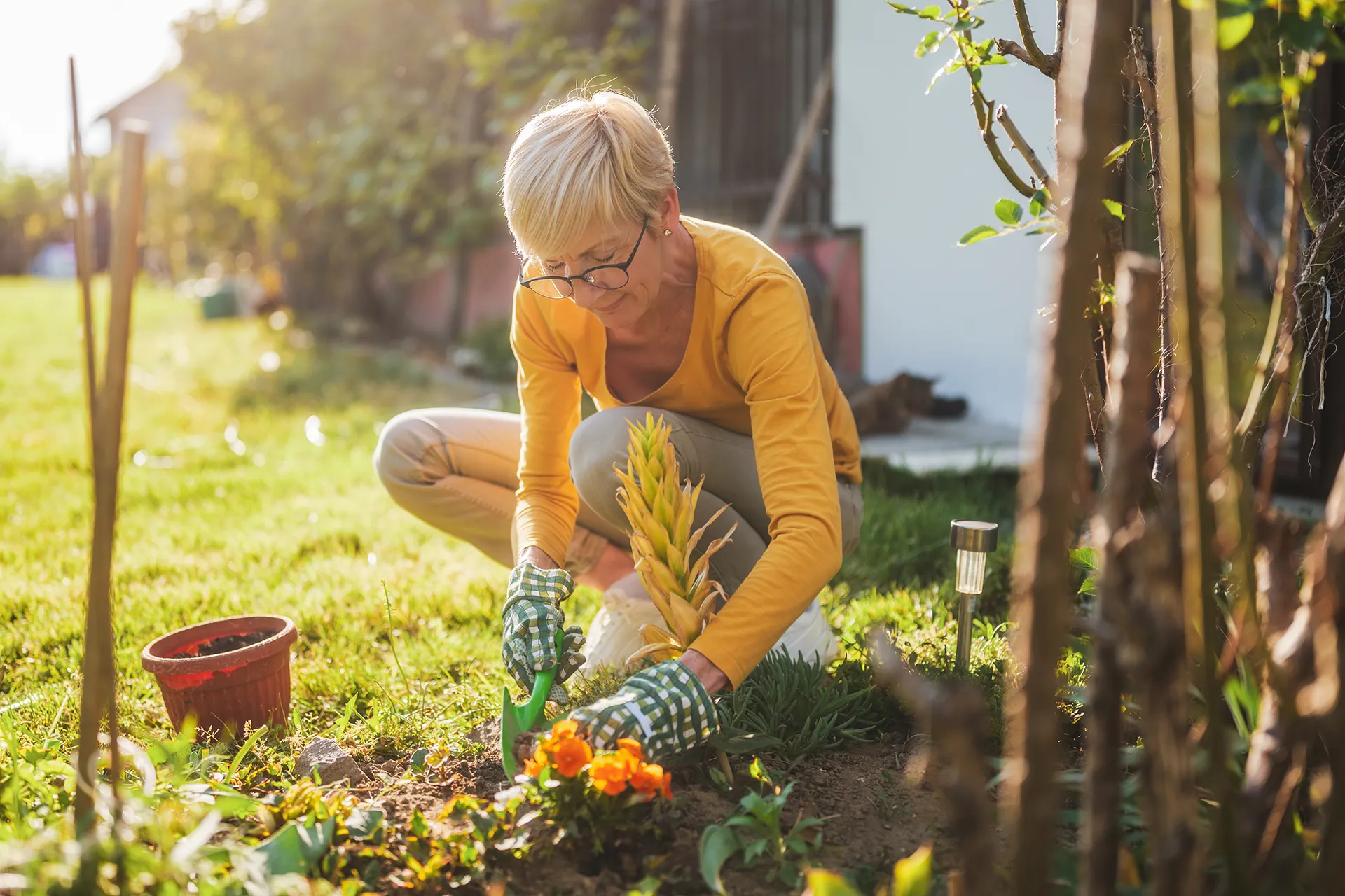 Signs your body may benefit from some DMSO