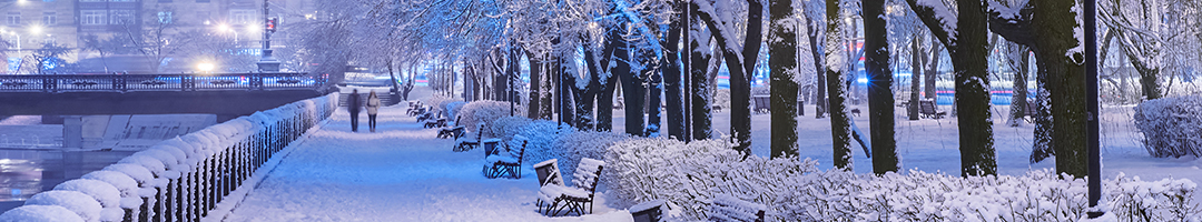 Support Immunity, Promote Respiratory Health