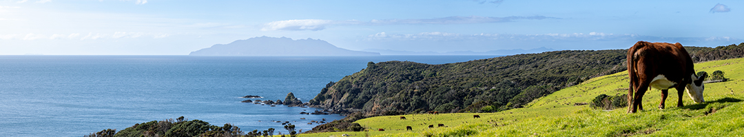 Revival of Ancestral Wisdom That’s Rigorously Tested