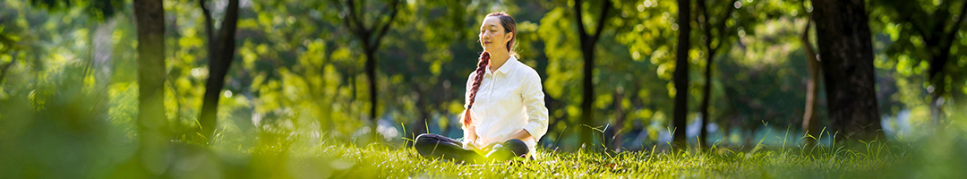 Standardized Protection for Your Body’s Filter