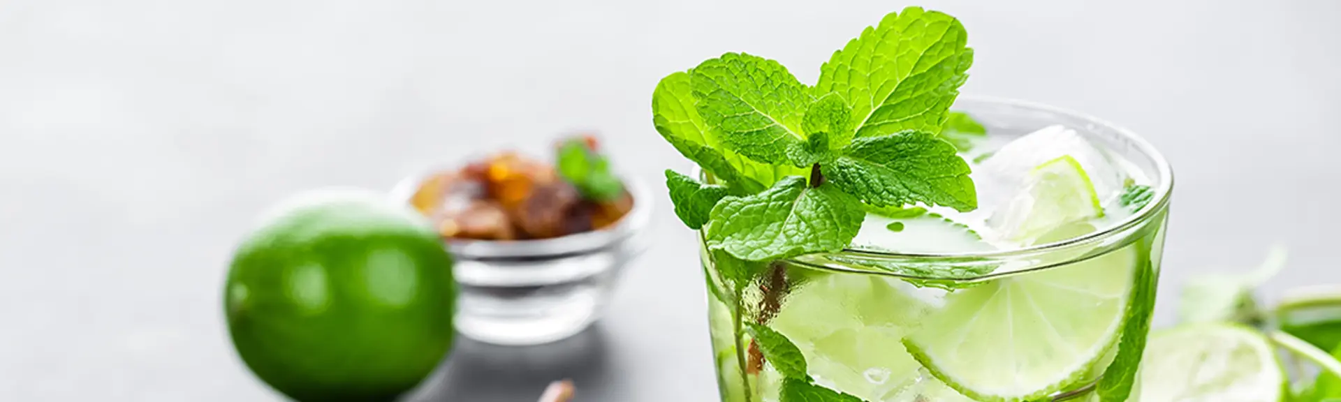 Keto Mock Mojito