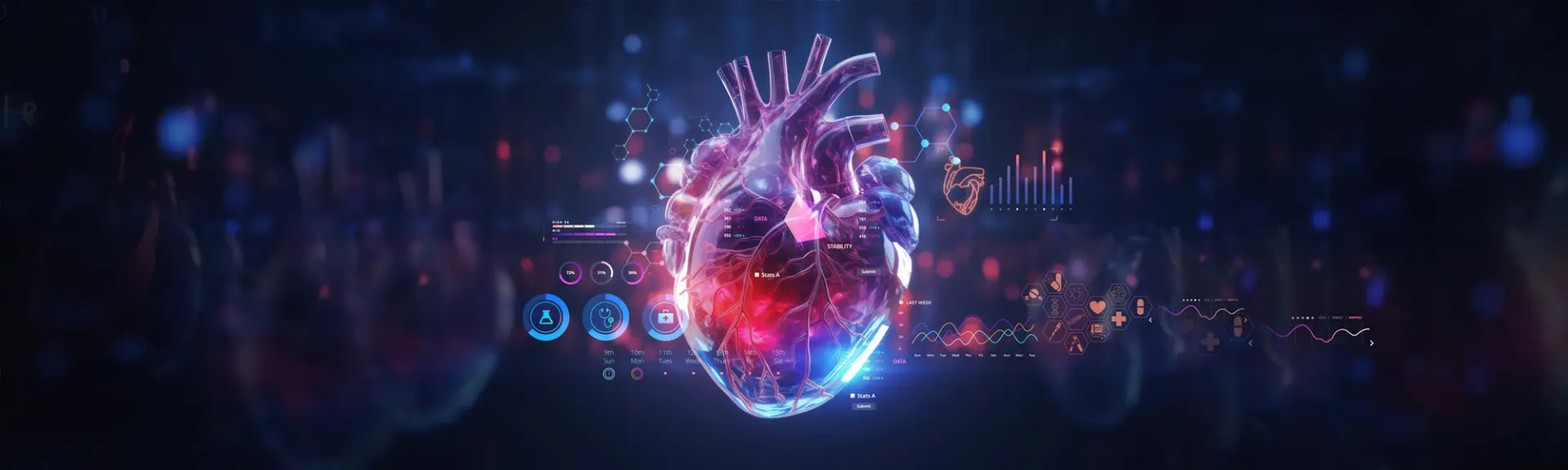 The Heart: Your Lifelong Companion