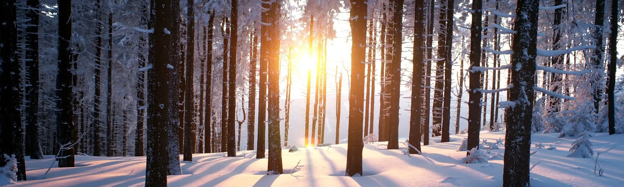 What’s Causing Your Winter Blues? (And How to Beat Them!)