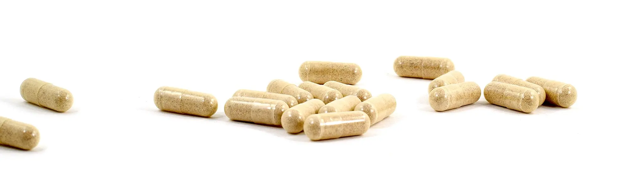 Probiotics: New Frontiers in Immune Modulation