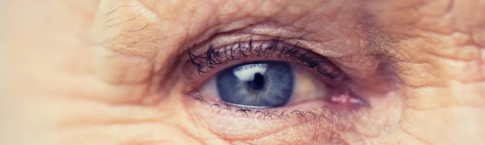 For Your Eyes Only