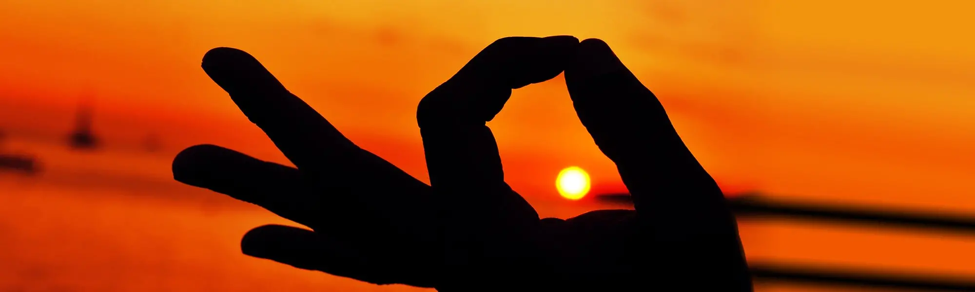 Benefits and Practices of Mindfulness—A Naturopathic Perspective