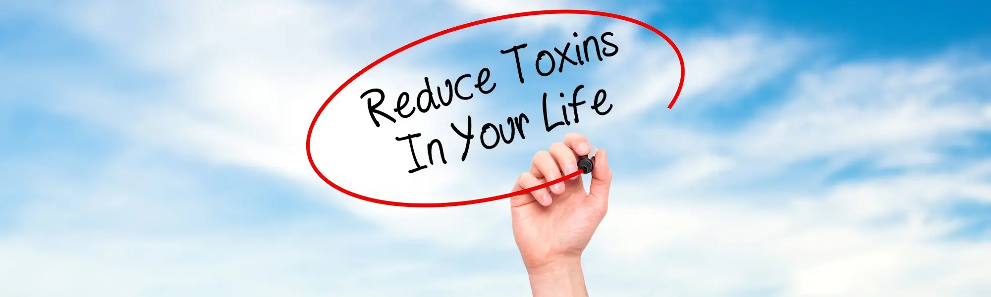 The Best Solutions to Limit Toxin Accumulation: How to Limit Everyday Toxin Exposure (Part 2)