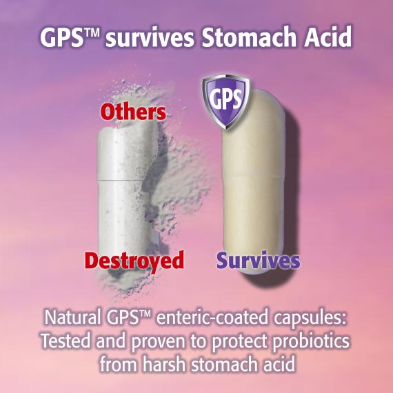 Acidophilus Ultra 11 Billion+